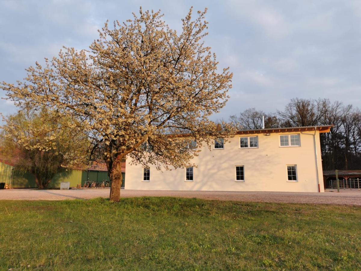 Ferienwohnung Gestuet Von Erden Haßloch Dış mekan fotoğraf